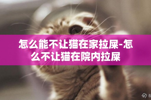 怎么能不讓貓在家拉屎-怎么不讓貓在院內拉屎