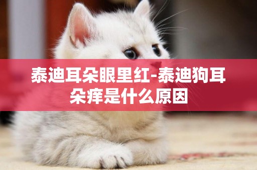 泰迪耳朵眼里紅-泰迪狗耳朵癢是什么原因