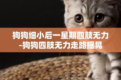 狗狗細小后一星期四肢無力-狗狗四肢無力走路搖晃