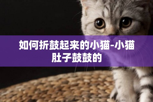 如何折鼓起來的小貓-小貓肚子鼓鼓的
