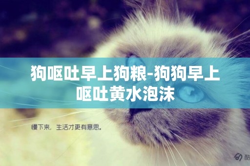 狗嘔吐早上狗糧-狗狗早上嘔吐黃水泡沫