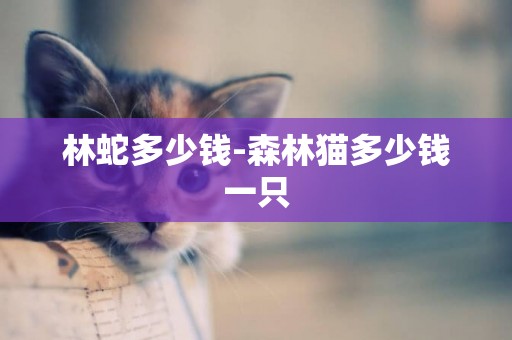 林蛇多少錢-森林貓多少錢一只