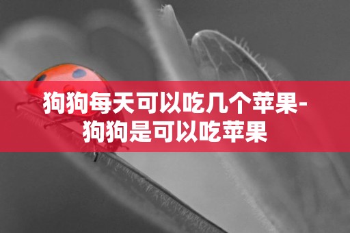 狗狗每天可以吃幾個蘋果-狗狗是可以吃蘋果