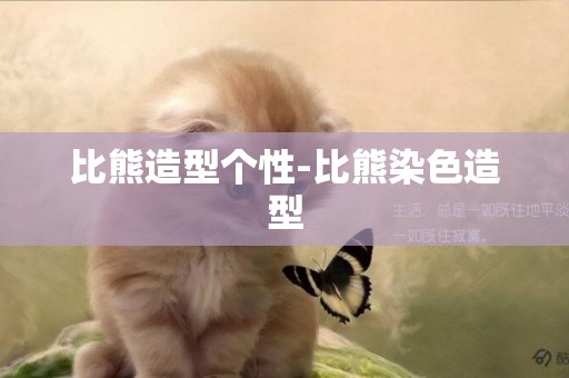 比熊造型個性-比熊染色造型
