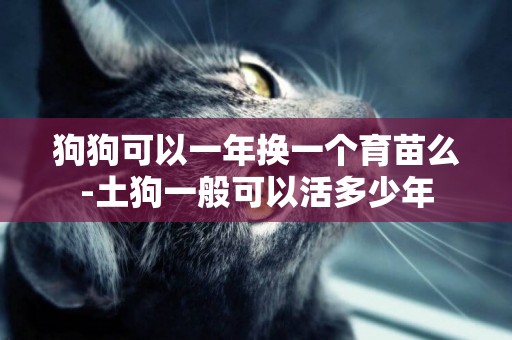 狗狗可以一年換一個育苗么-土狗一般可以活多少年