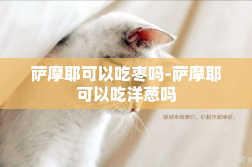 薩摩耶可以吃棗嗎-薩摩耶可以吃洋蔥嗎