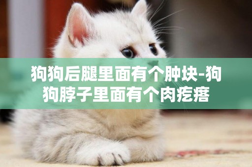 狗狗后腿里面有個腫塊-狗狗脖子里面有個肉疙瘩