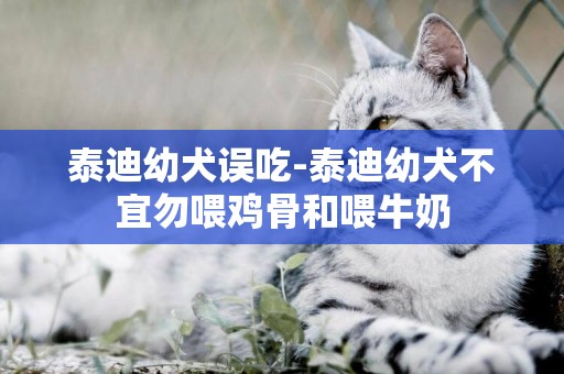 泰迪幼犬誤吃-泰迪幼犬不宜勿喂雞骨和喂牛奶
