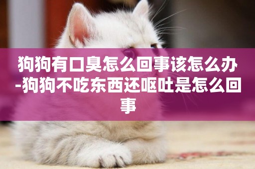 狗狗有口臭怎么回事該怎么辦-狗狗不吃東西還嘔吐是怎么回事