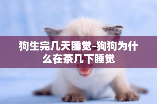 狗生完幾天睡覺-狗狗為什么在茶幾下睡覺