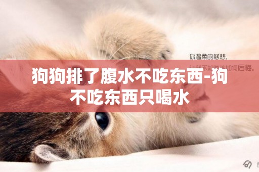 狗狗排了腹水不吃東西-狗不吃東西只喝水