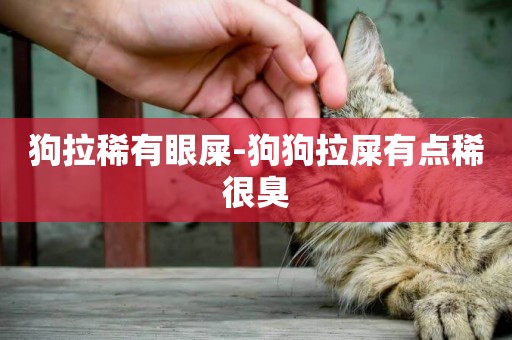 狗拉稀有眼屎-狗狗拉屎有點稀很臭