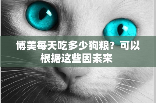 博美每天吃多少狗糧？可以根據這些因素來 