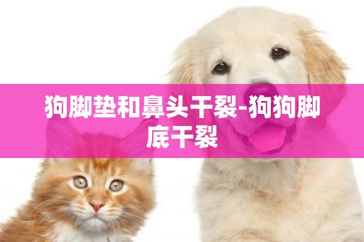 狗腳墊和鼻頭干裂-狗狗腳底干裂