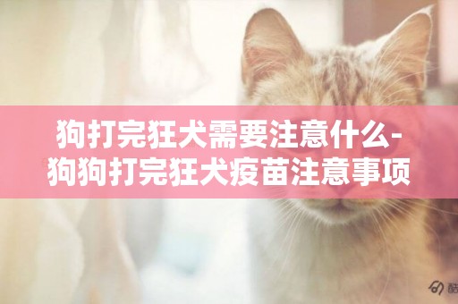 狗打完狂犬需要注意什么-狗狗打完狂犬疫苗注意事項有什么