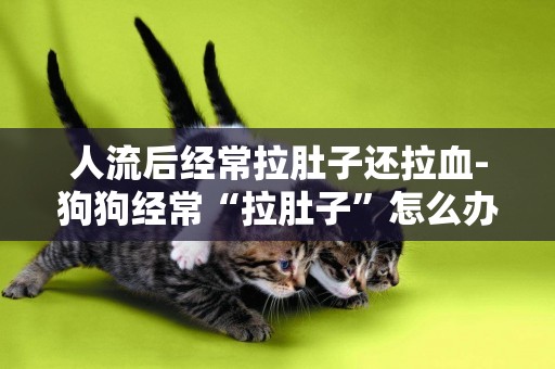 人流后經常拉肚子還拉血-狗狗經常“拉肚子”怎么辦