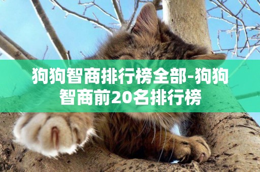 狗狗智商排行榜全部-狗狗智商前20名排行榜