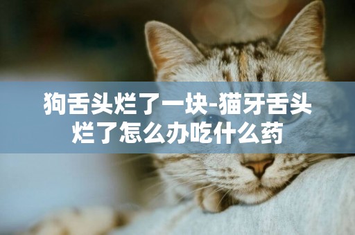 狗舌頭爛了一塊-貓牙舌頭爛了怎么辦吃什么藥