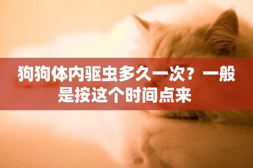 狗狗體內驅蟲多久一次？一般是按這個時間點來 