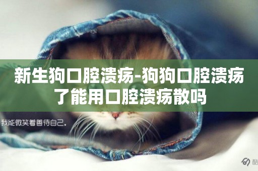 新生狗口腔潰瘍-狗狗口腔潰瘍了能用口腔潰瘍散嗎