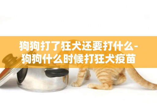 狗狗打了狂犬還要打什么-狗狗什么時候打狂犬疫苗