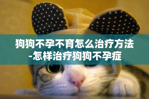 狗狗不孕不育怎么治療方法-怎樣治療狗狗不孕癥