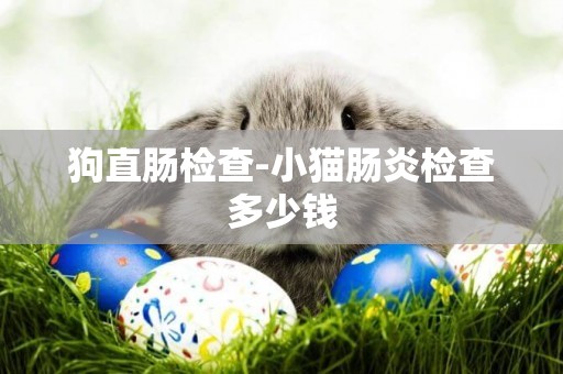 狗直腸檢查-小貓腸炎檢查多少錢