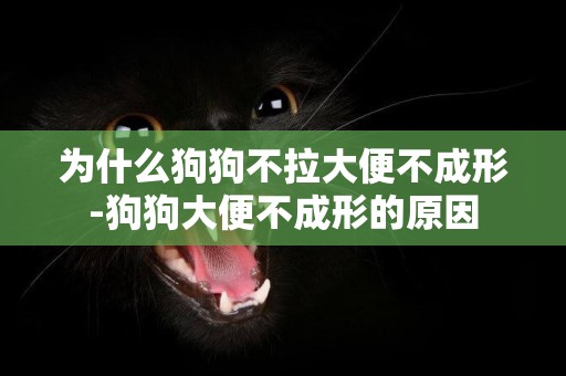 為什么狗狗不拉大便不成形-狗狗大便不成形的原因