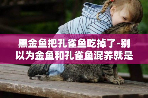 黑金魚把孔雀魚吃掉了-別以為金魚和孔雀魚混養就是孔雀魚吃虧