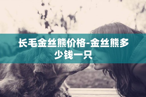 長毛金絲熊價格-金絲熊多少錢一只