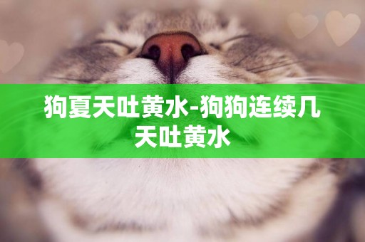 狗夏天吐黃水-狗狗連續幾天吐黃水