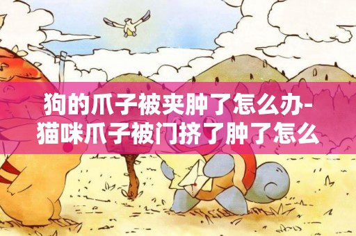 狗的爪子被夾腫了怎么辦-貓咪爪子被門擠了腫了怎么辦