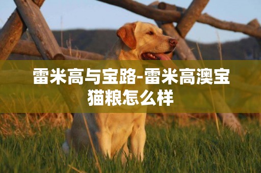雷米高與寶路-雷米高澳寶貓糧怎么樣