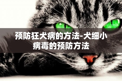 預防狂犬病的方法-犬細小病毒的預防方法