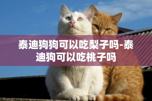 泰迪狗狗可以吃梨子嗎-泰迪狗可以吃桃子嗎