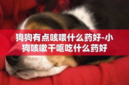 狗狗有點咳喂什么藥好-小狗咳嗽干嘔吃什么藥好