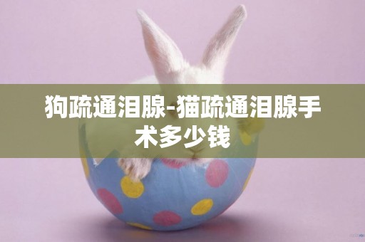 狗疏通淚腺-貓疏通淚腺手術多少錢