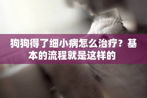 狗狗得了細小病怎么治療？基本的流程就是這樣的 