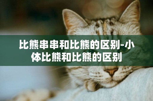 比熊串串和比熊的區別-小體比熊和比熊的區別
