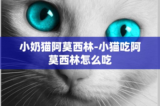 小奶貓阿莫西林-小貓吃阿莫西林怎么吃