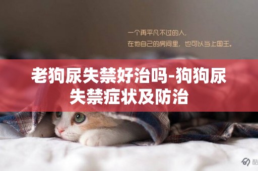 老狗尿失禁好治嗎-狗狗尿失禁癥狀及防治