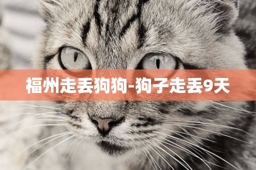 福州走丟狗狗-狗子走丟9天