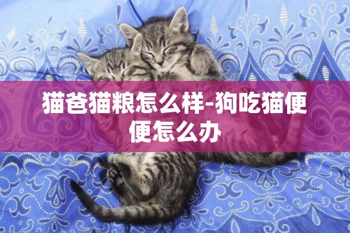 貓爸貓糧怎么樣-狗吃貓便便怎么辦