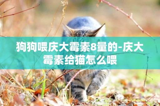 狗狗喂慶大霉素8量的-慶大霉素給貓怎么喂