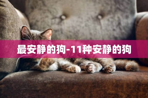 最安靜的狗-11種安靜的狗