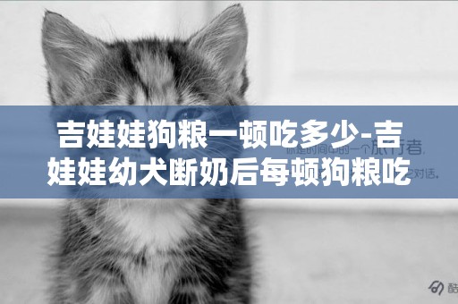 吉娃娃狗糧一頓吃多少-吉娃娃幼犬斷奶后每頓狗糧吃多少合適