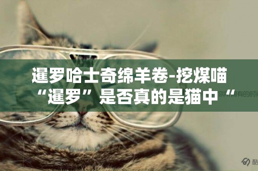 暹羅哈士奇綿羊卷-挖煤喵“暹羅”是否真的是貓中“哈士奇”