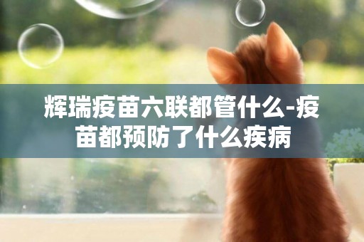 輝瑞疫苗六聯都管什么-疫苗都預防了什么疾病