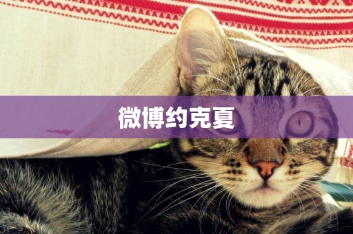 微博約克夏