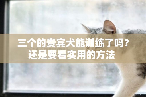 三個的貴賓犬能訓練了嗎？還是要看實用的方法 